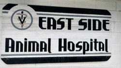 East Side Animal Hospital